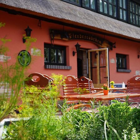 Pferdehof Bela Apartamento Nonnevitz Exterior foto
